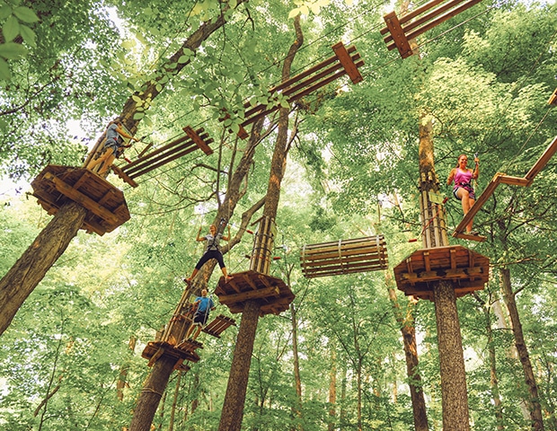 Zipline Adventure Park Near You Texas Plano