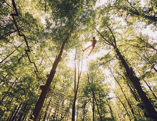 Zipline Adventure Park Near You Virginia Williamsburg Zipline Adventure Park Near You Virginia Williamsburg