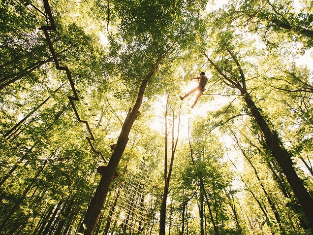 Zipline Adventure Park Near You Delaware Bear Zipline Adventure Park Near You Delaware Bear