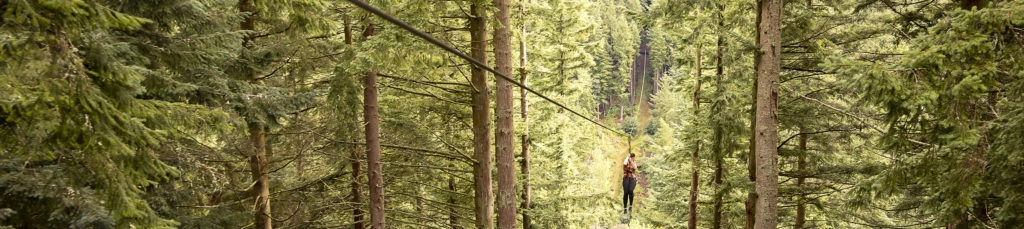 Woman descends zipline through tall trees towards a mulchy landing site