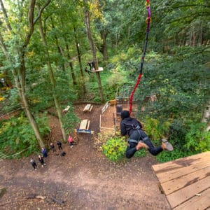 Zipline Adventure Park Near You Delaware Bear