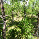 Two adjacent treetop obstacles with wooden platforms and safety cables