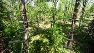 10 Things to Do in Texas: Adventure Driven & Rooted in Nature
