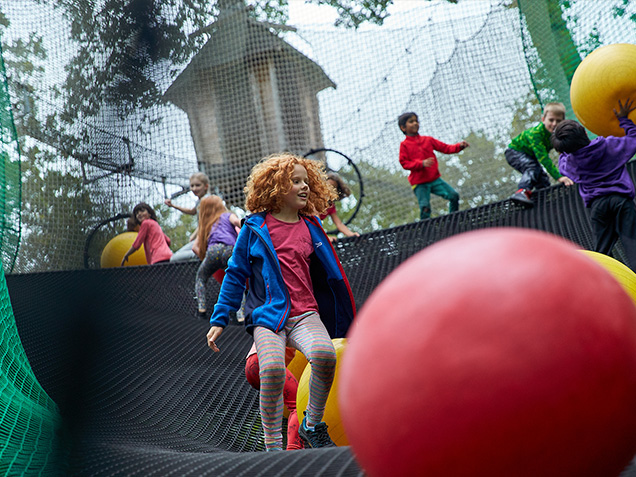 National annual pass - Treetop Nets - Go Ape zipline & adventure park