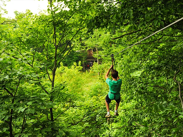 A young man ziplining at Go Ape zipline Indianapolis