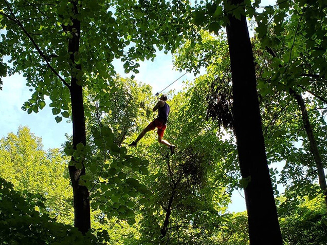 Climber ziplines through trees