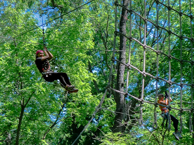 Adults enjoying outdoor adventure ropes course Chicago
