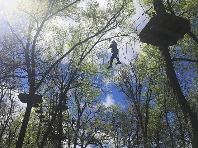 Figure climbs through the trees