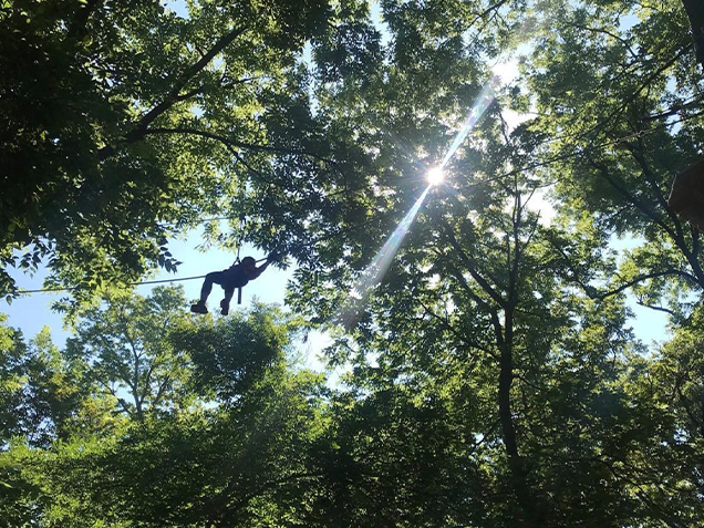 Climber ziplines through the treetops
