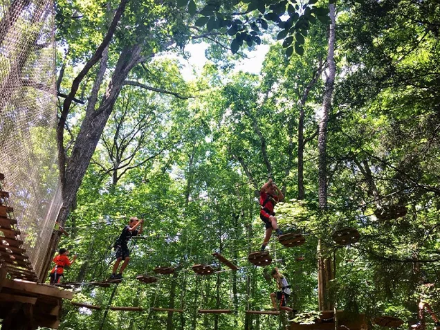 A group of climbers tackles a treetop bridge