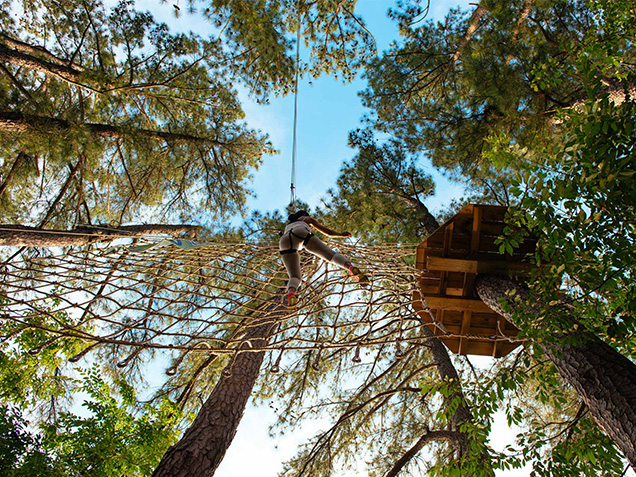 Girl climbs net after Tarzan swing
