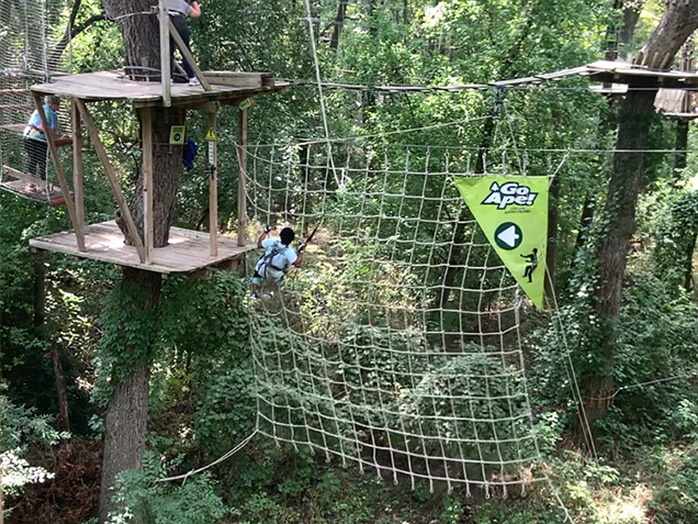 Young boy climbs net after tarzan swing