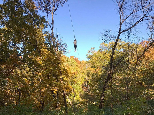 Climber ziplines through autumn trees