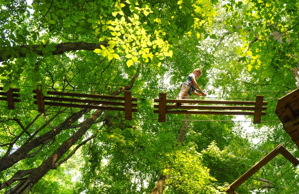 Go Ape Find A Zipline Adventure Course Near You