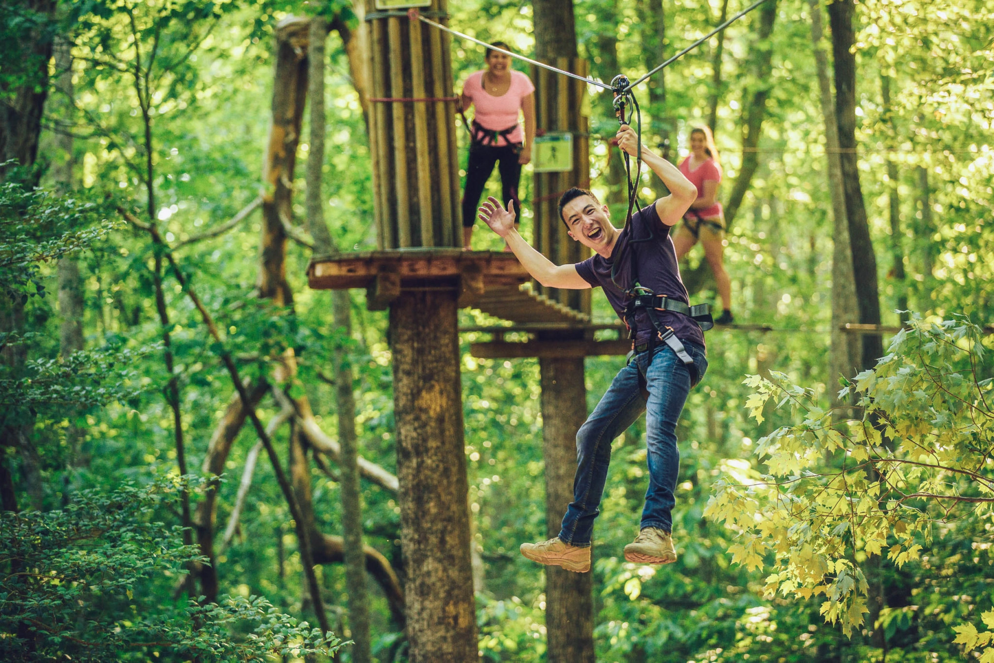 National annual pass - Treetop Adventure Adult - Go Ape zipline & adventure park