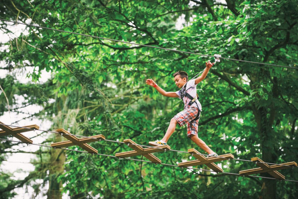 Go Ape Find A Zipline Adventure Course Near You