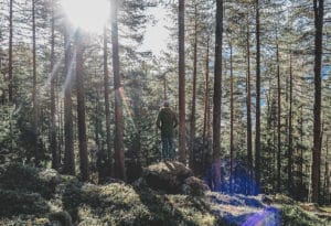 Want to Avoid Office Burnout? Take a Walk.