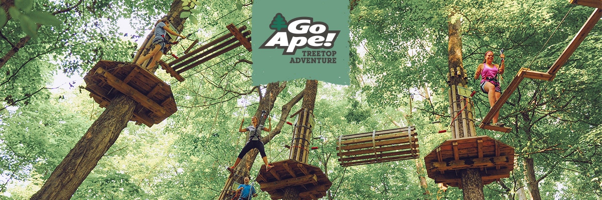 Go Ape Book Your Zipline Treetop Adventure Experience Today