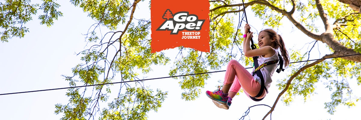 Go Ape Book Your Zipline Treetop Adventure Experience Today