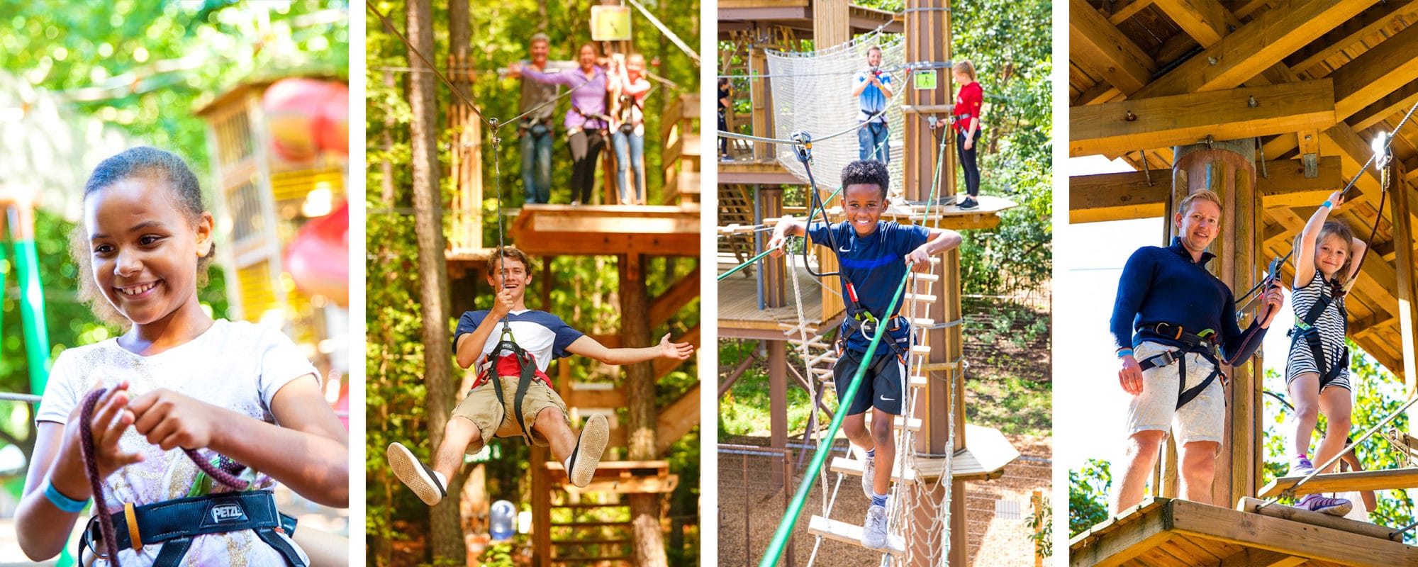 Go Ape Our Adventures Learn About Treetop Journeys