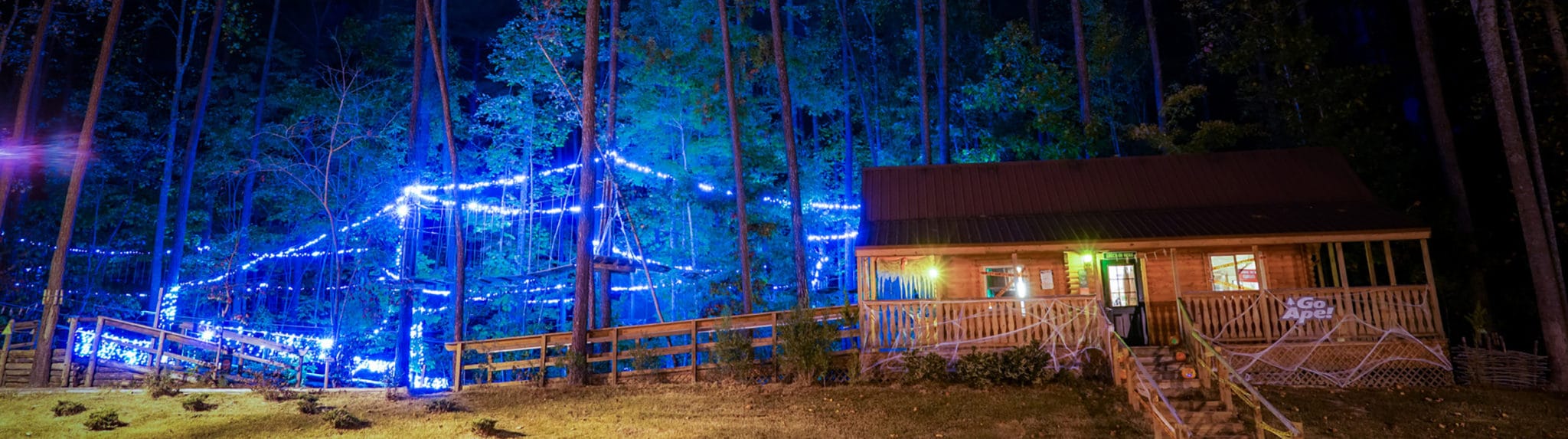 Go Ape cabin covered in fake spider webs next to a Treetop Journey course brightly lit by blue lights after sundown