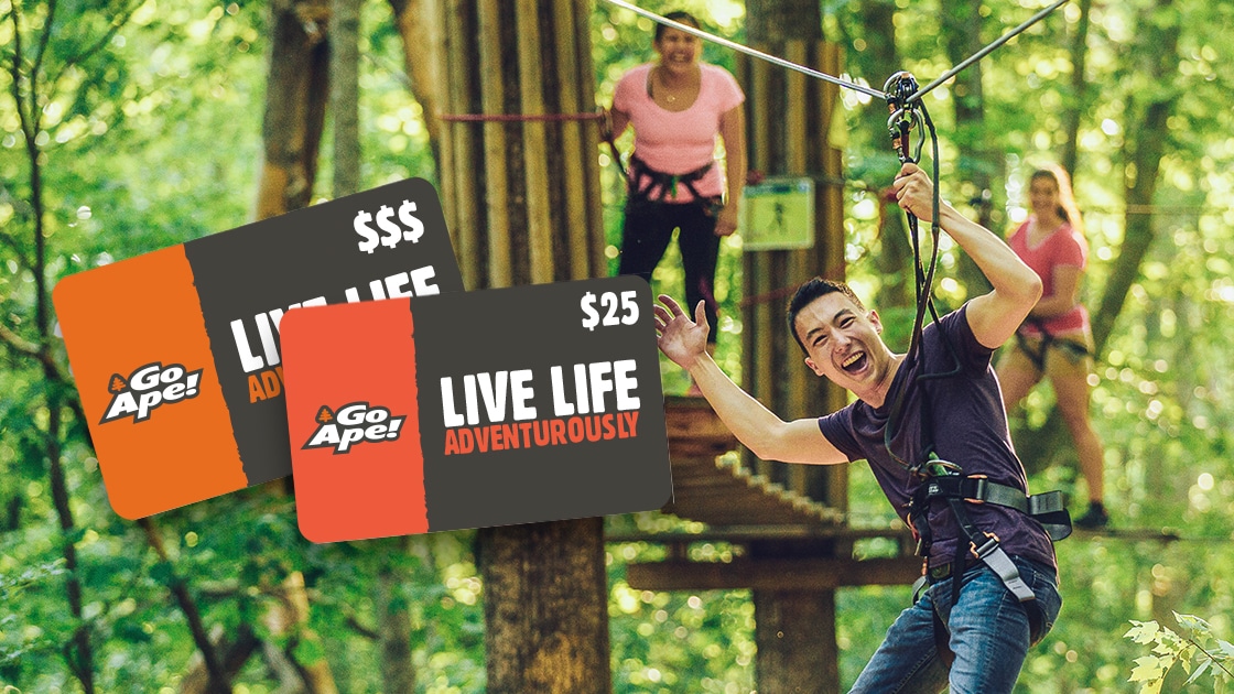 Go Ape Zipline Treetop Adventures Gifts Go Ape Zipline Treetop Adventures Gifts