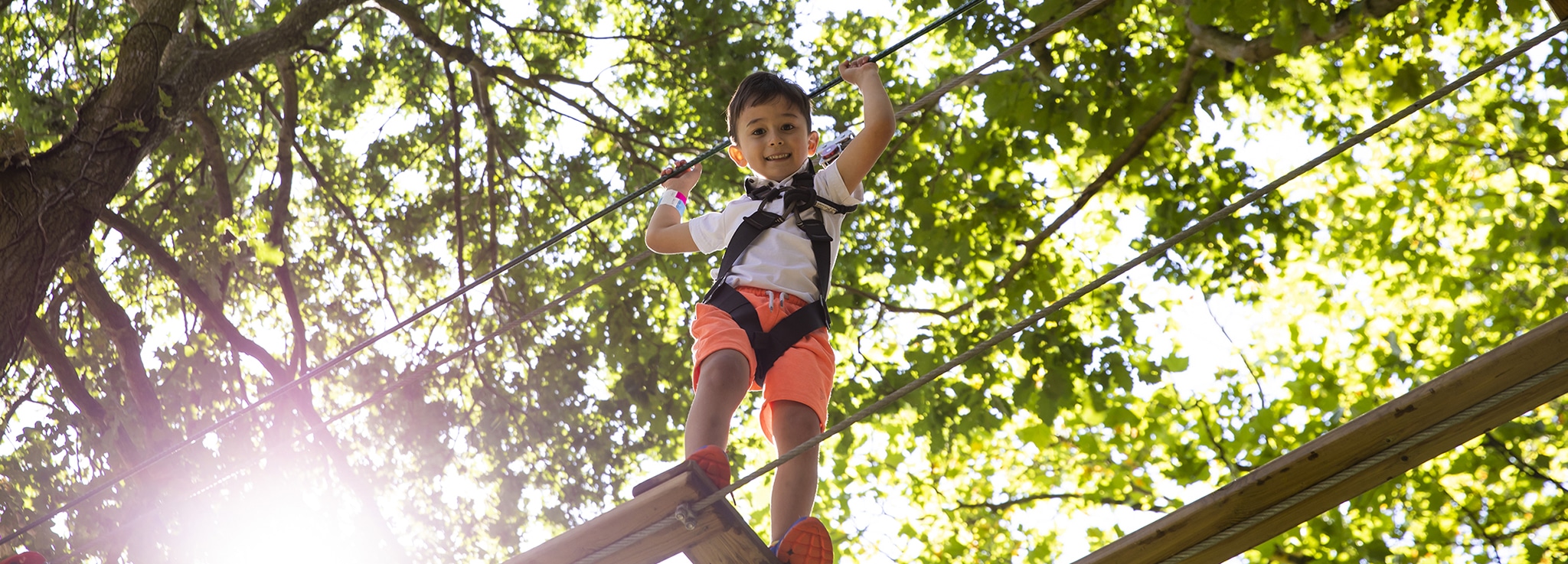 Low angle photo of young boy wearing harness while navigating treetop obstacle and peering down at the photographer