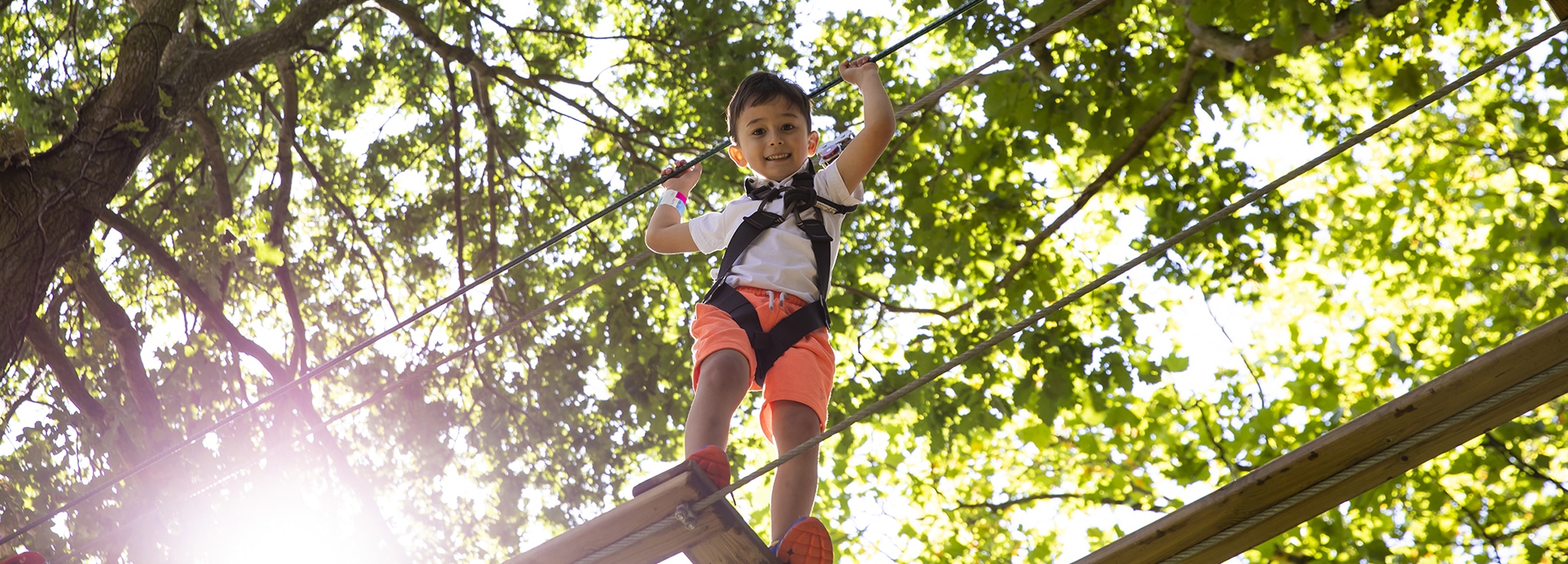 Low angle photo of young boy wearing harness while navigating treetop obstacle and peering down at the photographer Low angle photo of young boy wearing harness while navigating treetop obstacle and peering down at the photographer