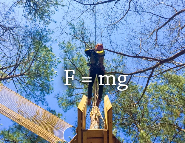 tarzan swing physics