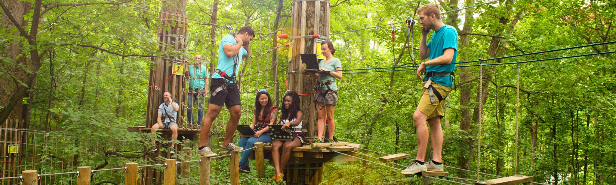 Go Ape employees hanging out in trees