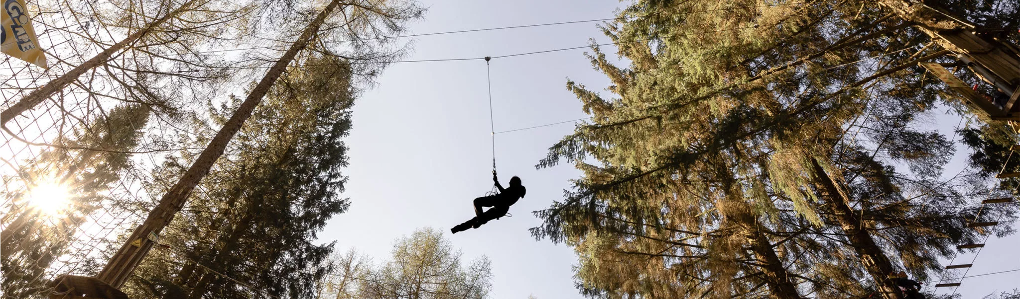 A person ziplining through the trees