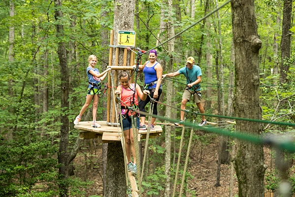 Go Ape Treetop Discovery - Exciting Ropes Course and Ziplines