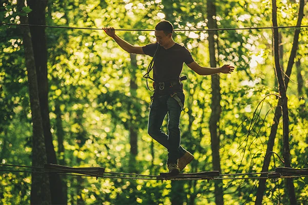 Bridges - Treetop Adventure - Go Ape Zipline & Adventure Park