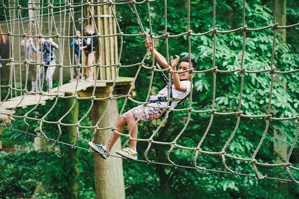 Obstacles - Treetop Journey - Go Ape Zipline & Adventure Park