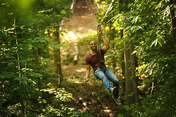 Ziplines - Zip Trek Experience - Go Ape Zipline & Adventure Park