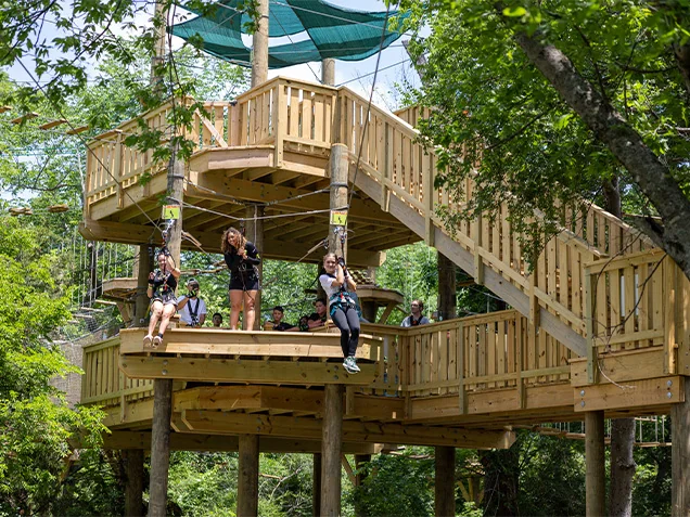 Climbers swing into the trees at Go Ape Zipline Arlington