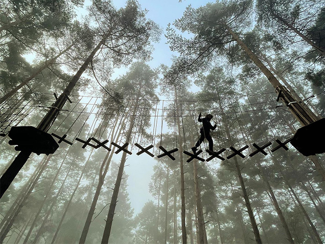 Person crosses bridge high in the trees
