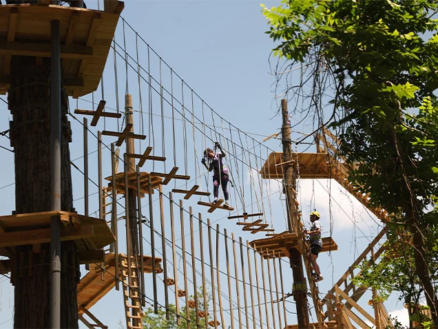 Woman climbing Treetop Adventure Course at Go Ape Houston