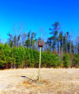 bat boxes