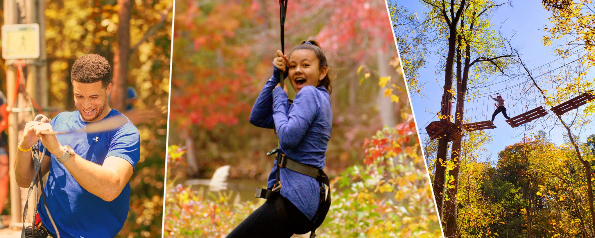 Climbers swinging through autumn leaves