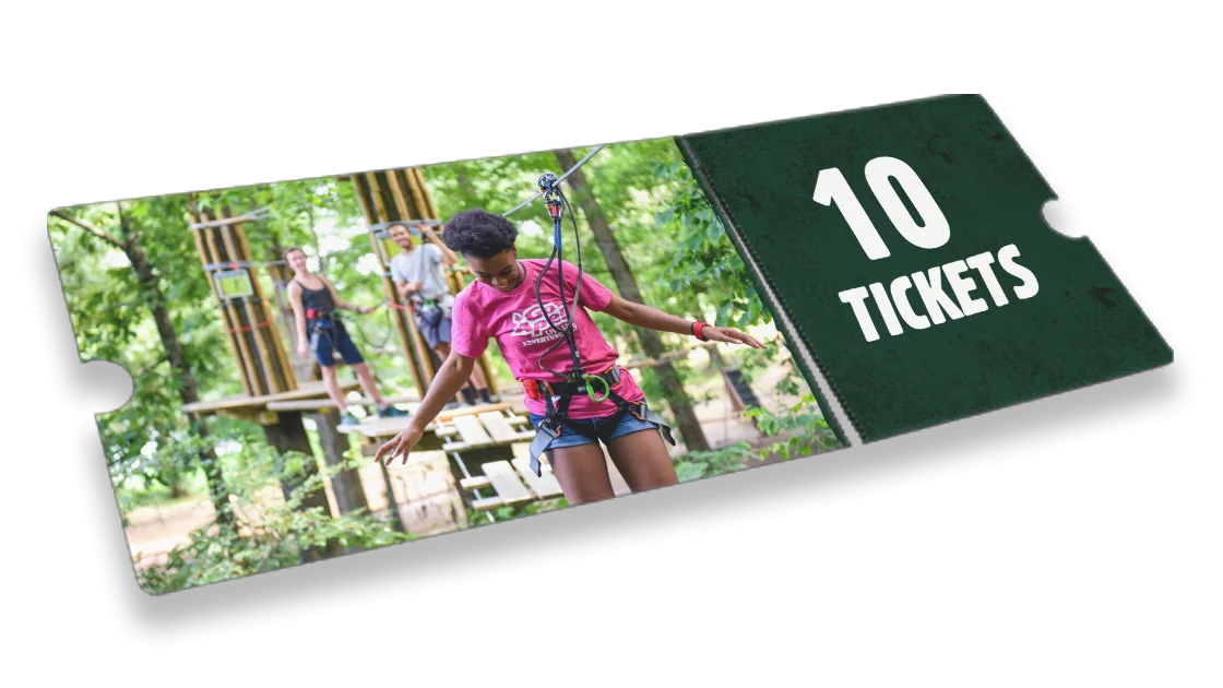 Treetop Adventure 10 Pack