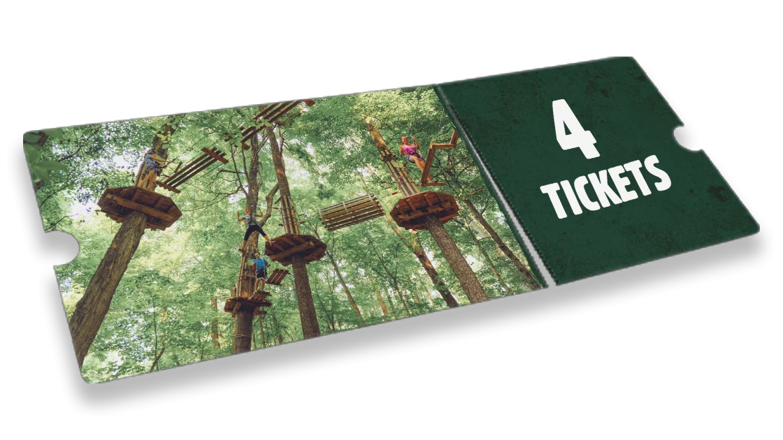 Treetop Adventure 4 Pack