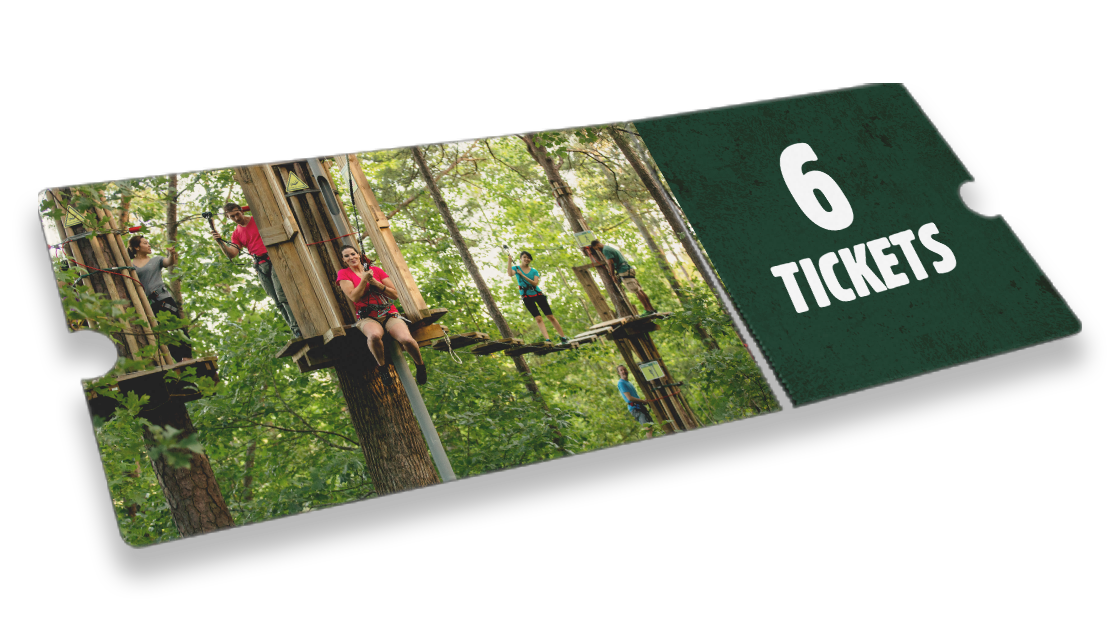 Treetop Adventure 6 Pack