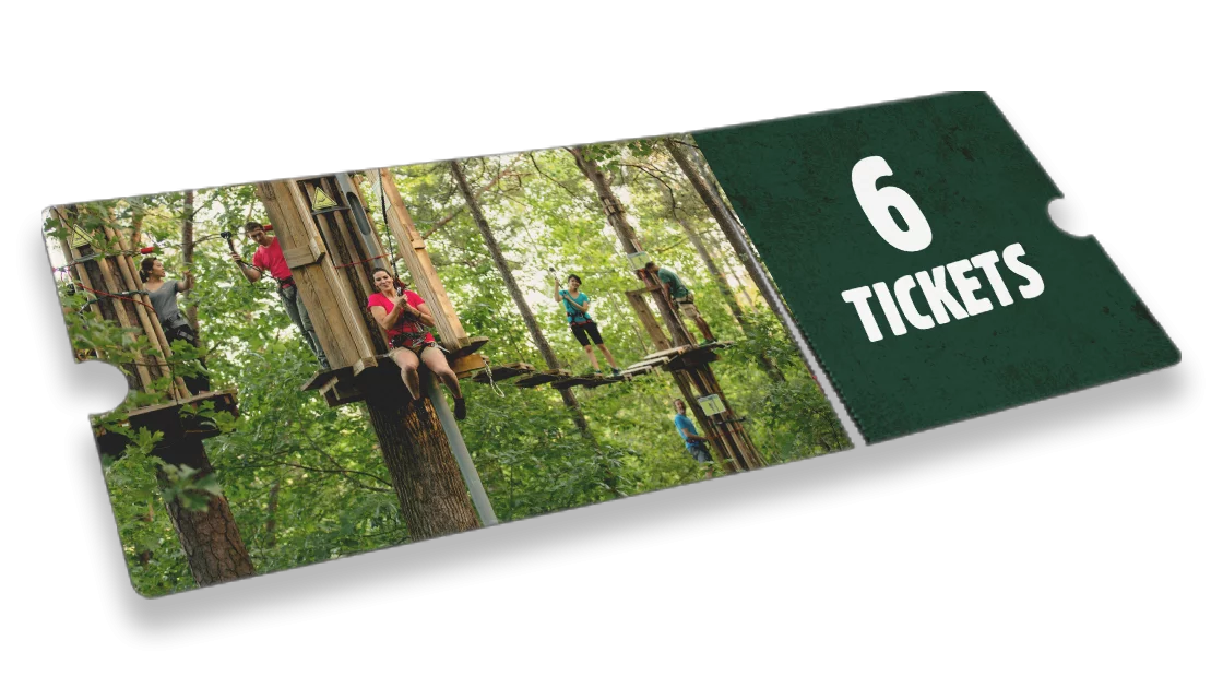 Treetop Adventure 6 Pack