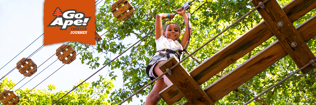 Treetop Journey