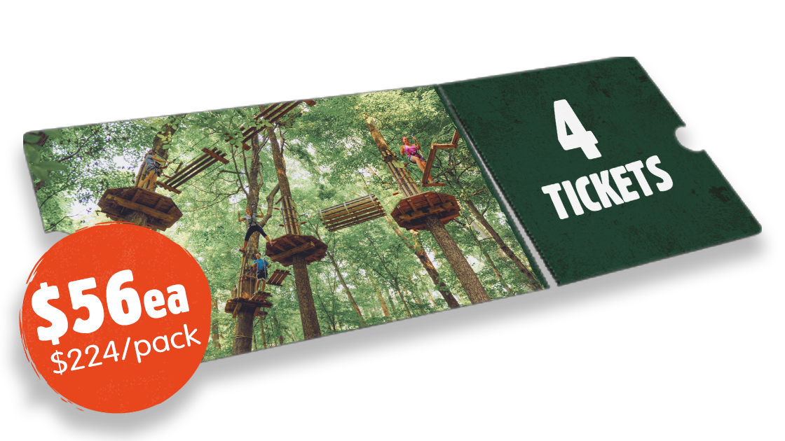 Treetop Adventure 4 Pack