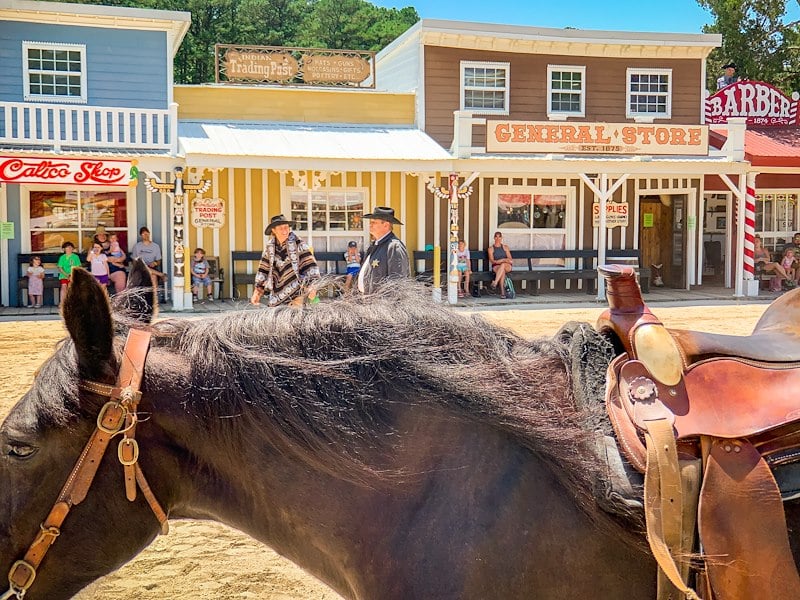 Frontier Town Western Experience