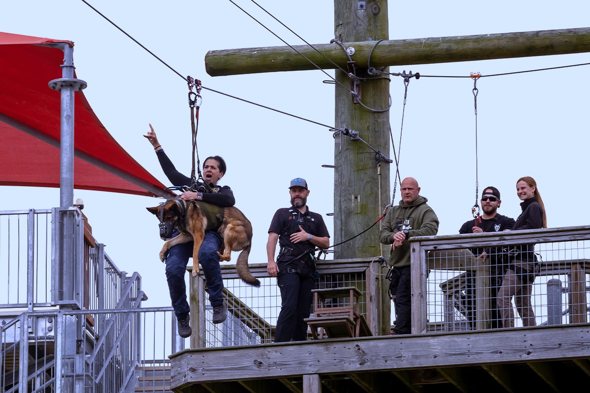 Custom Team Building & Leadership Packages at Go Ape Zipline & Adventure Park