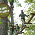 Primal Dynamix by Go Ape - Team Building & Leadership Development