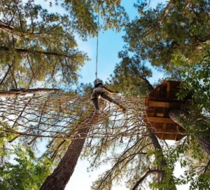 What to Expect at Go Ape: Your Zipline & Ropes Course Adventure Starts Here